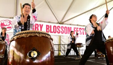 Monterey Park’s Cherry Blossom Festival blooms anew – San Gabriel Valley Tribune