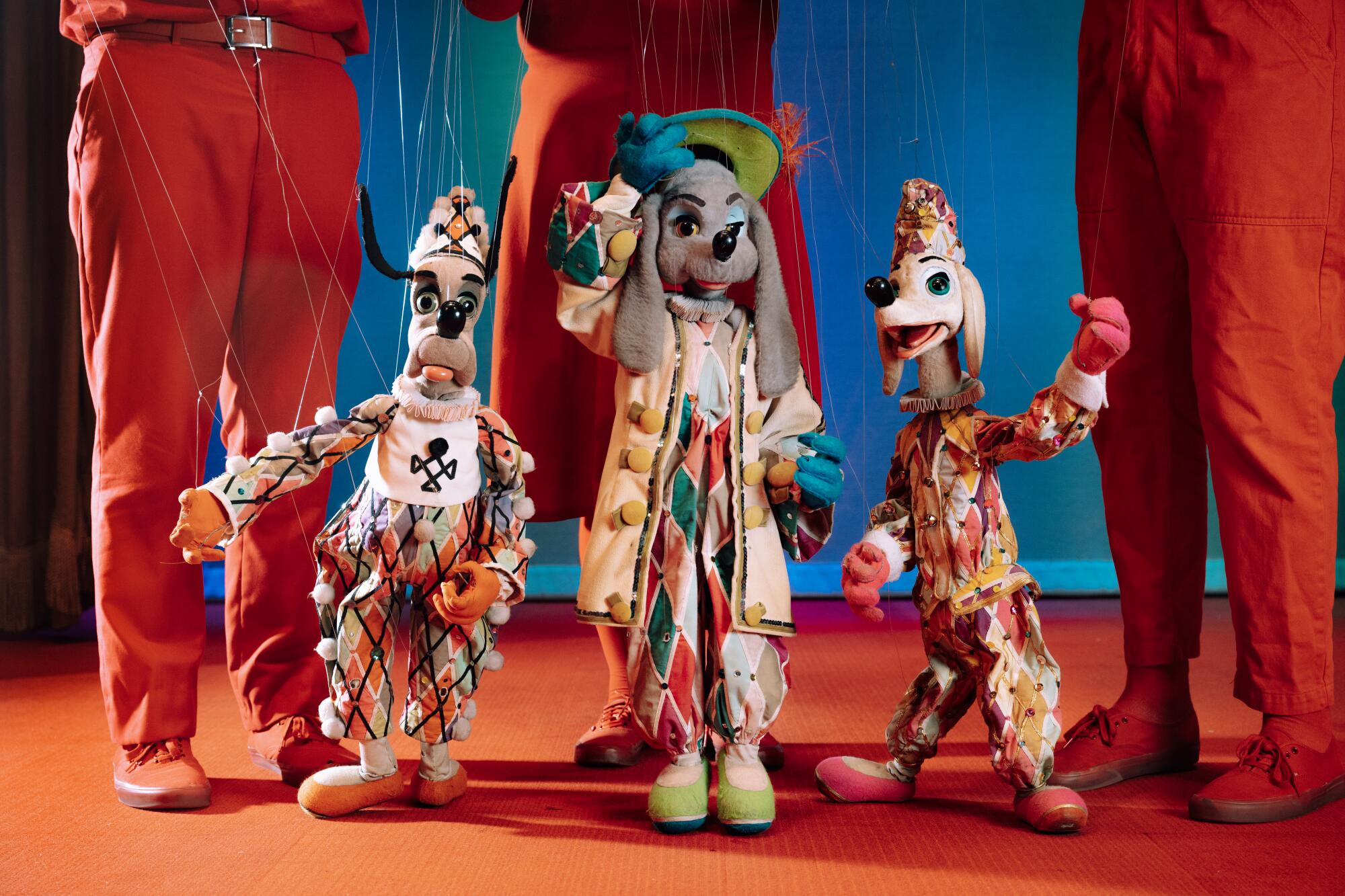 A trio of dog puppets in colorful, circus-like oufits. 