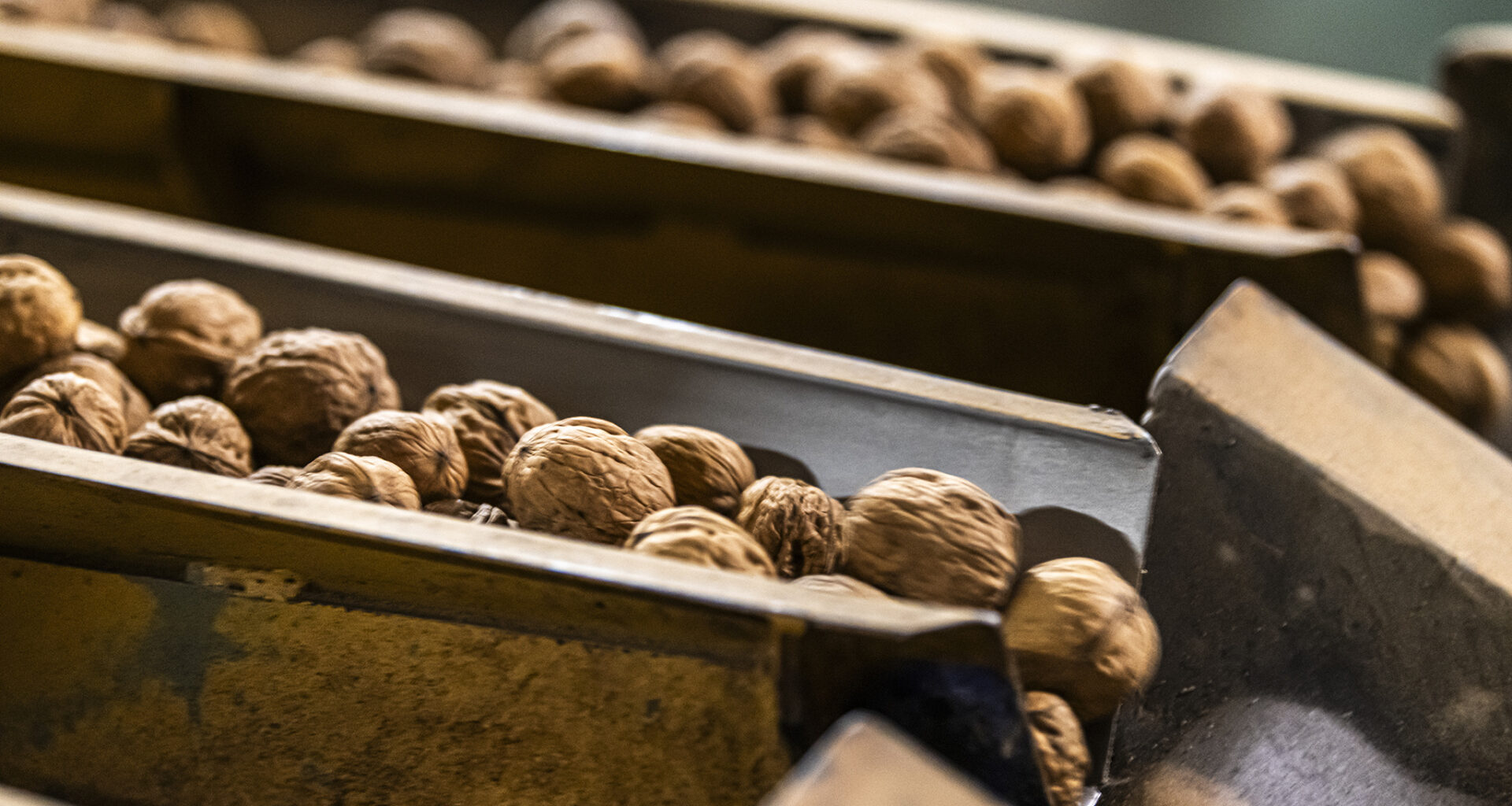 Trump's war in Iran has already cost Calif. walnut farmers millions