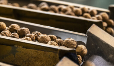 Trump's war in Iran has already cost Calif. walnut farmers millions