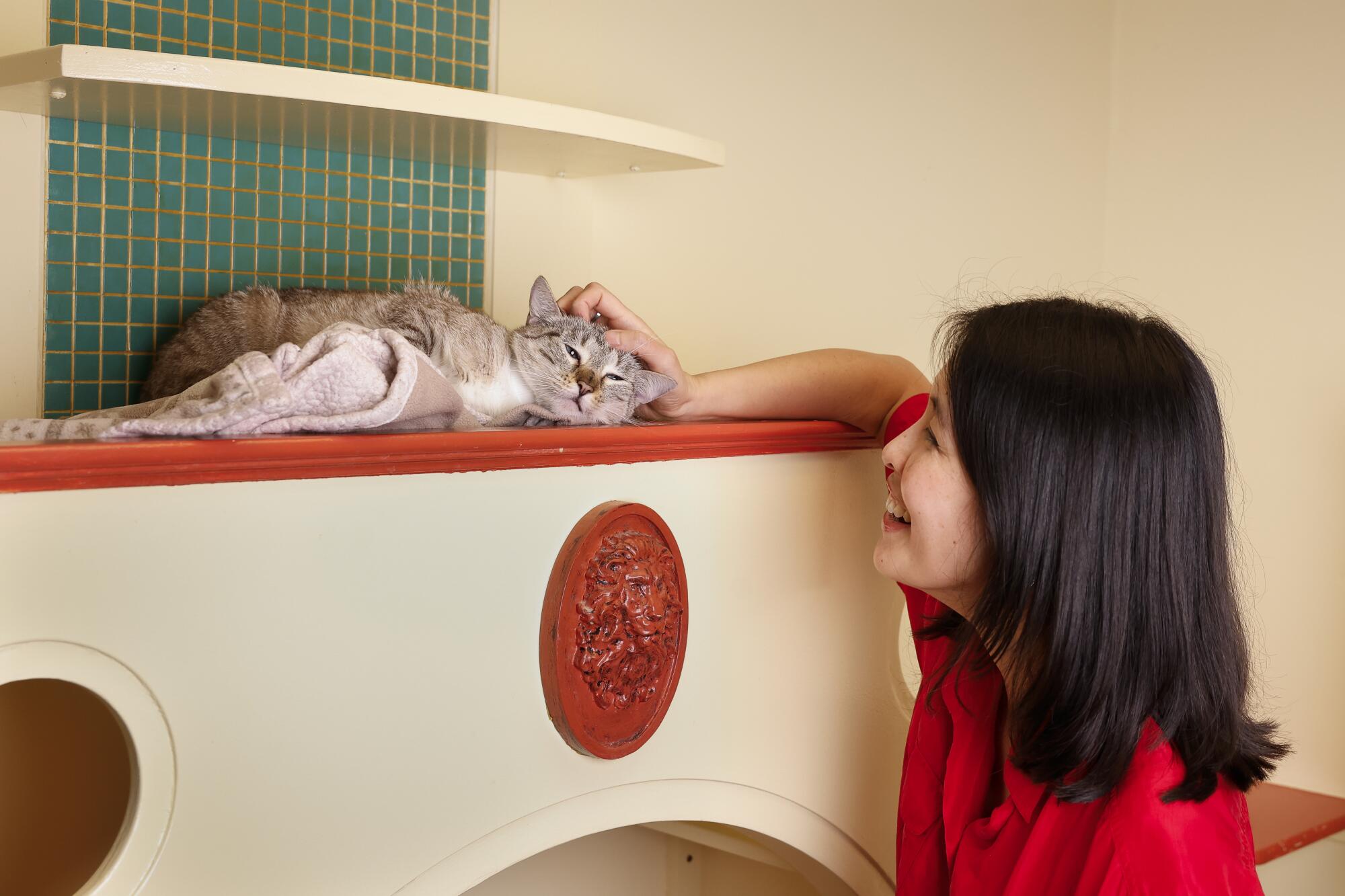 Rachel Khong pets a rescue cat at Pasadena Humane.