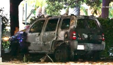 2 killed when Jeep hits tree, catches fire near Anaheim’s OC Vibe