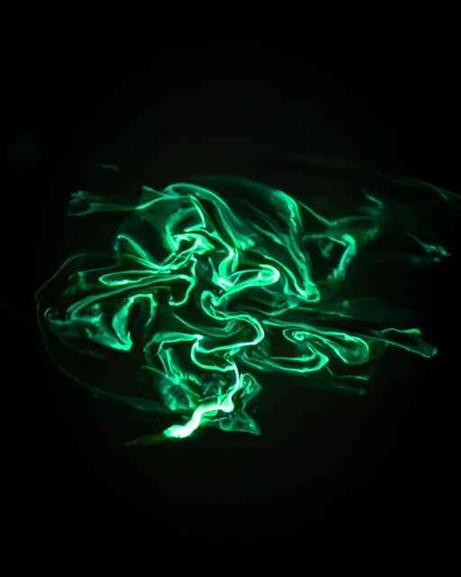 Bioluminescent “firewormsâ engaging in a mating ritual in Colorado Lagoon...