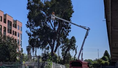 Caltrans and Alameda Officials Celebrate Launch of Nimitz Freeway Widening Project Through Oakland’s Chinatown