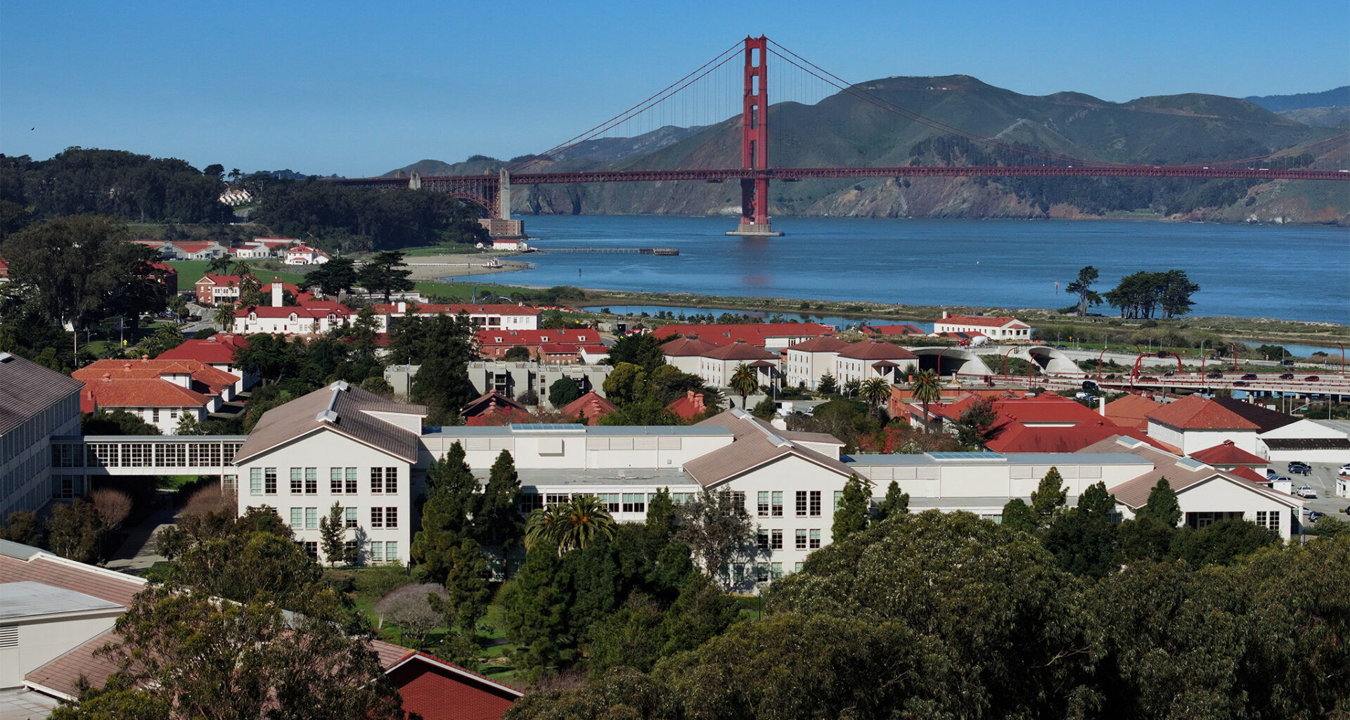The vultures worrying me most after Trump fires board at SF's Presidio