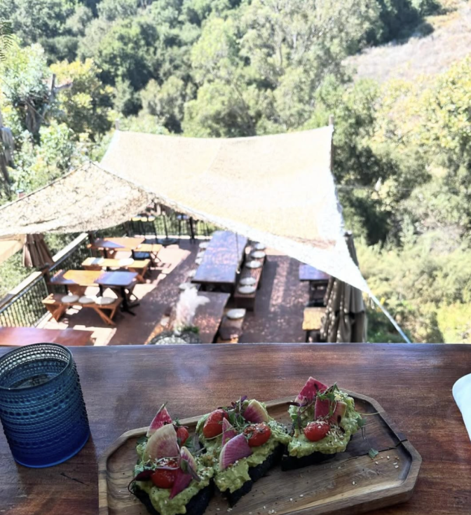 An outside scene; in the foreground three pieces of avocado toast sit on a wooden plate on a wooden table; in the background is a lower canopy-covered seating section, with nothing but green trees in the far back.
