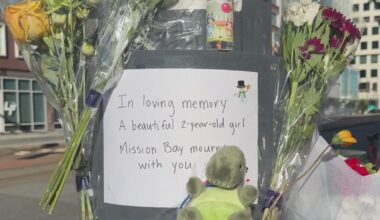 Driver charged in fatal crash that killed toddler in San Francisco's Mission Bay