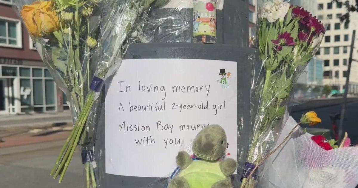 Driver charged in fatal crash that killed toddler in San Francisco's Mission Bay