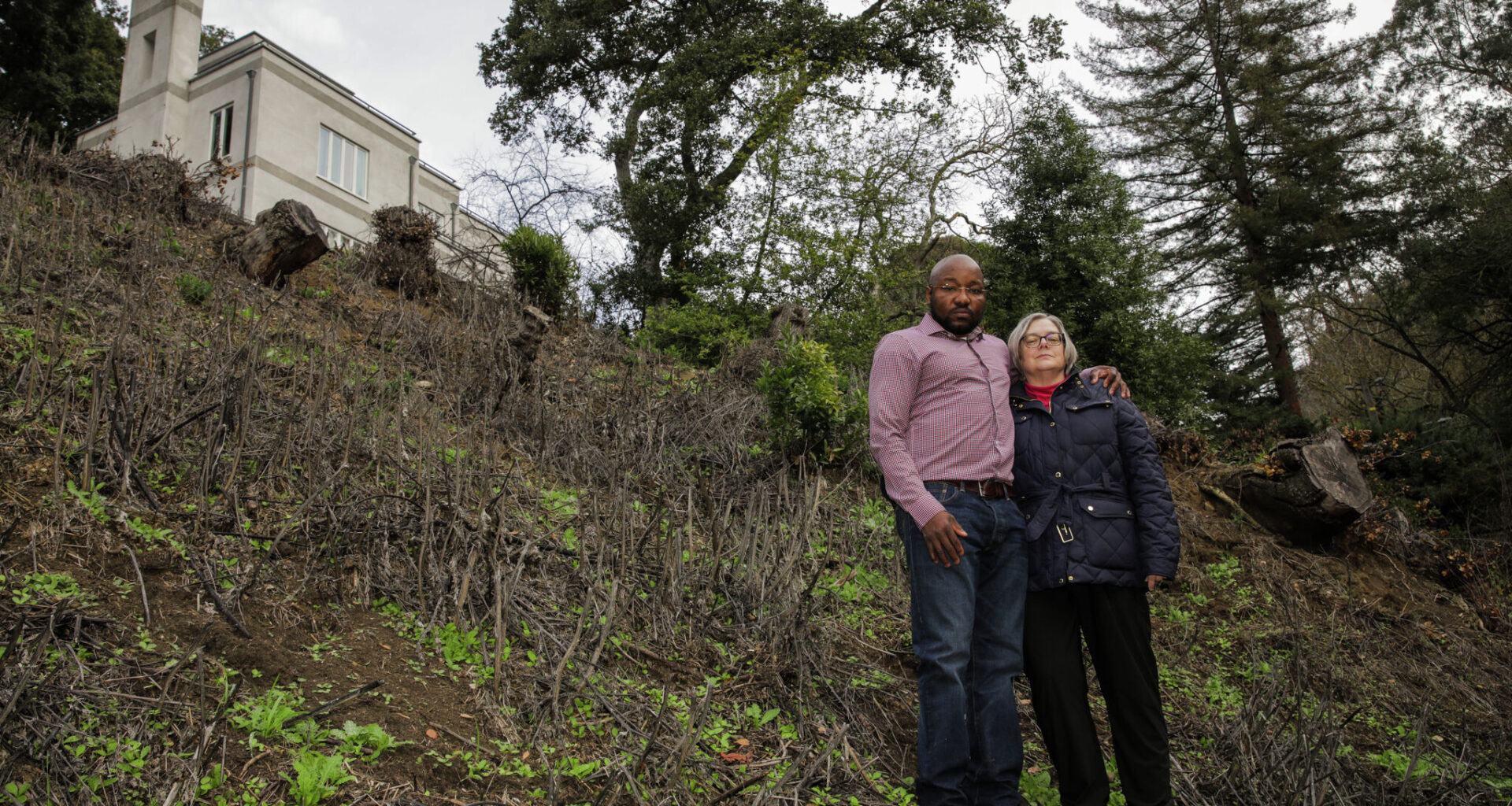 Oakland council balks at $1M fine for man who cut down 38 trees