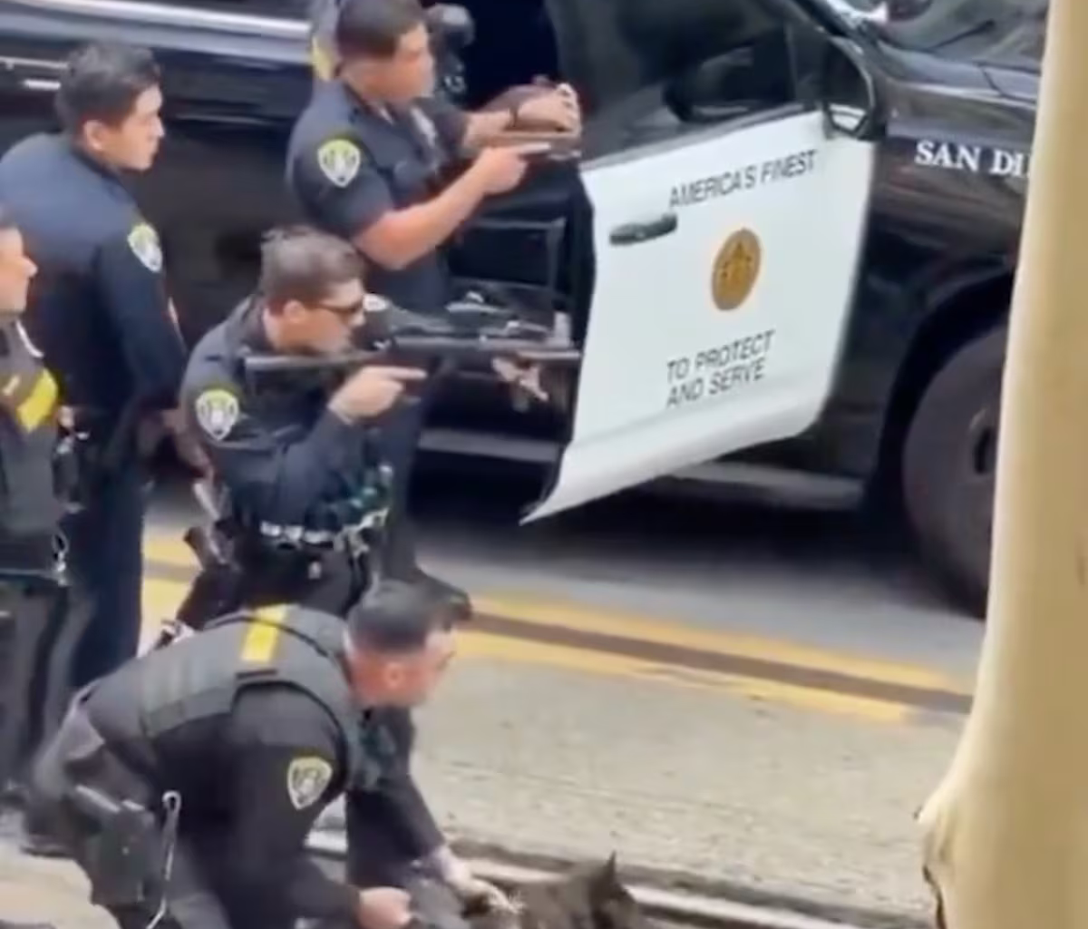 A police dog assists in the arrest of a man in San Diego | U.S.