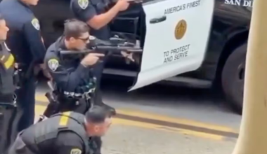 A police dog assists in the arrest of a man in San Diego | U.S.
