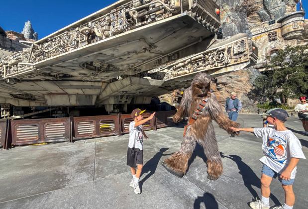 Chewbacca greets visitors at Star Wars: Galaxy's Edge inside Disneyland at the Disneyland Resort Anaheim, CA, on Friday, January 16, 2026. (Photo by Jeff Gritchen, Orange County Register/SCNG)