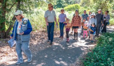 California Botanic Garden in Claremont opens new space for children – Daily Bulletin