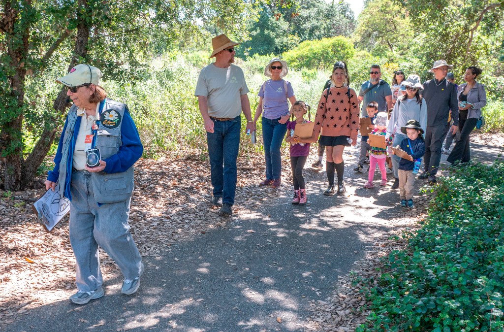 California Botanic Garden in Claremont opens new space for children – Daily Bulletin