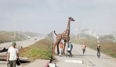 SF’s Sunset Dunes park is thriving, but future could be in doubt