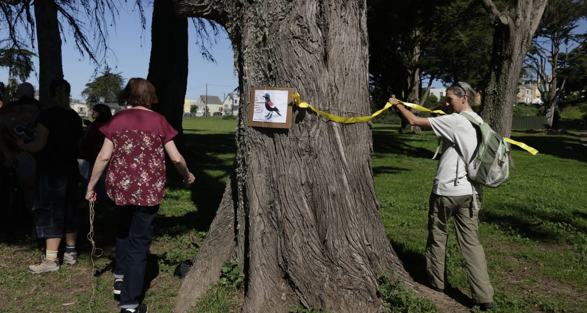 $28 million Giants gift for SF park overhaul wins key endorsement