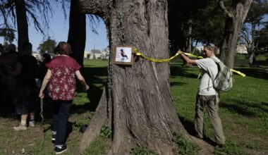 $28 million Giants gift for SF park overhaul wins key endorsement