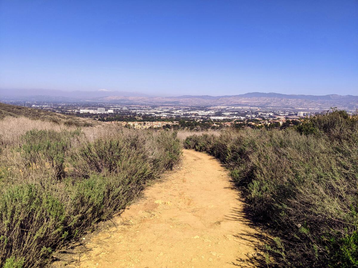 The Quail Hill hike for OC Hikes.
