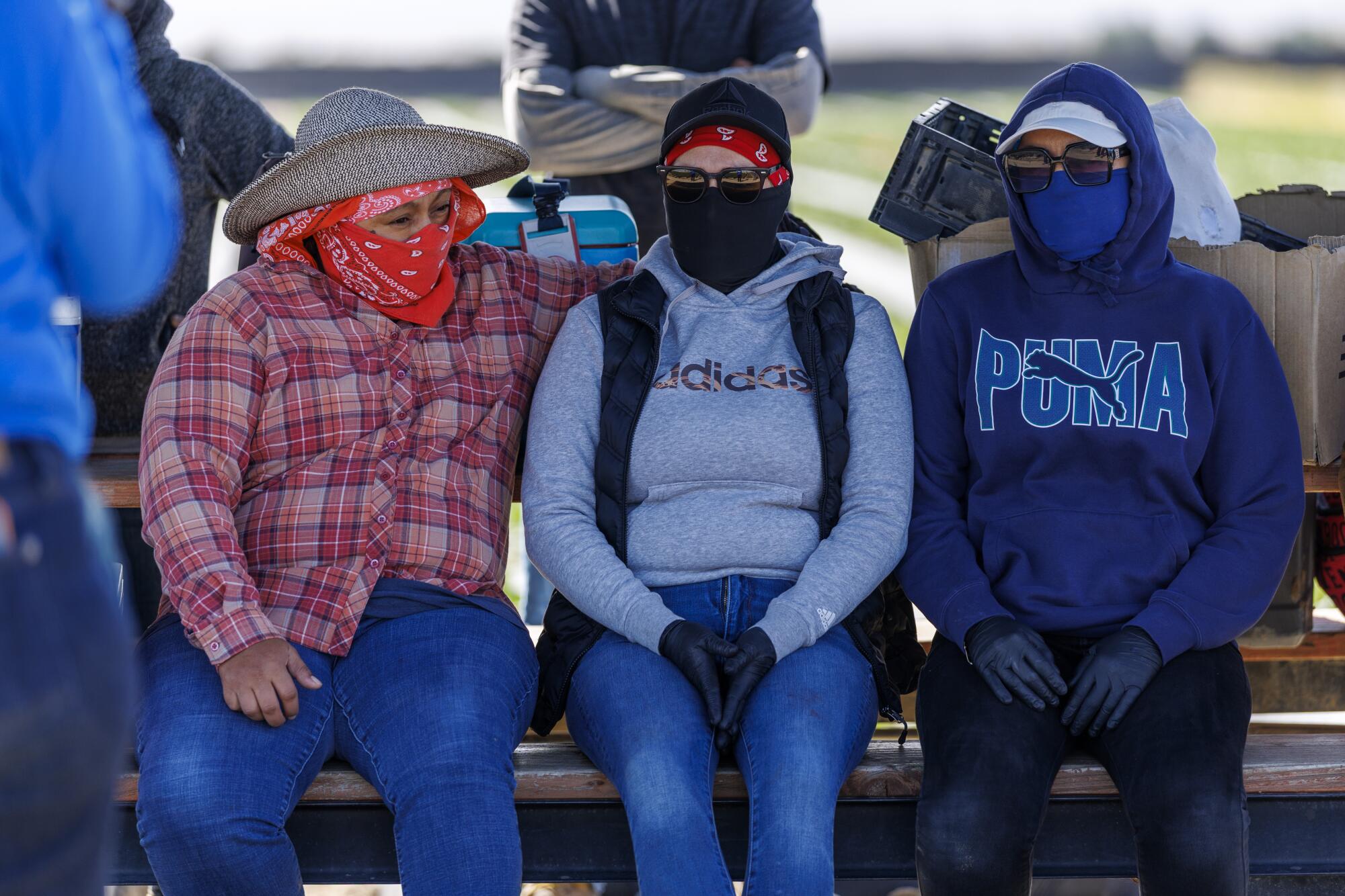 Farmworkers take a break from picking strawberries.
