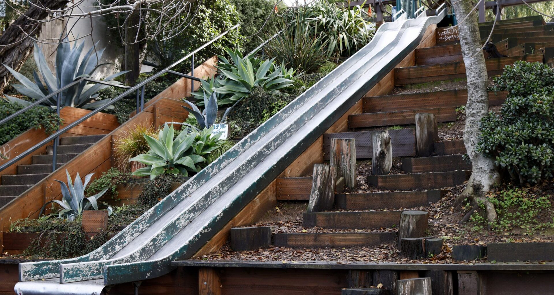 SF wants more ‘street parks’ and neighbors to step up and run them