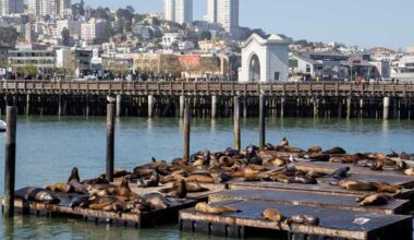 The Big Cheap 2026: 49 Things in SF Under $20