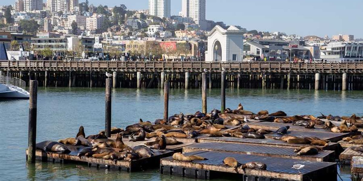 The Big Cheap 2026: 49 Things in SF Under $20