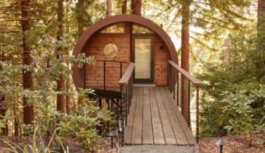 California Treehouse Airbnbs for the ultimate forest retreat