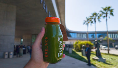 The 10 most photogenic things to see at LACMA’s David Geffen Galleries