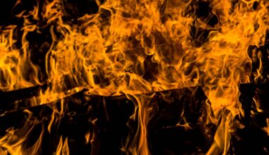 CA Post: Los Angeles is a liberal hell, a call for reasonable ebike legislation, and man dies after Long Beach hit-and-run