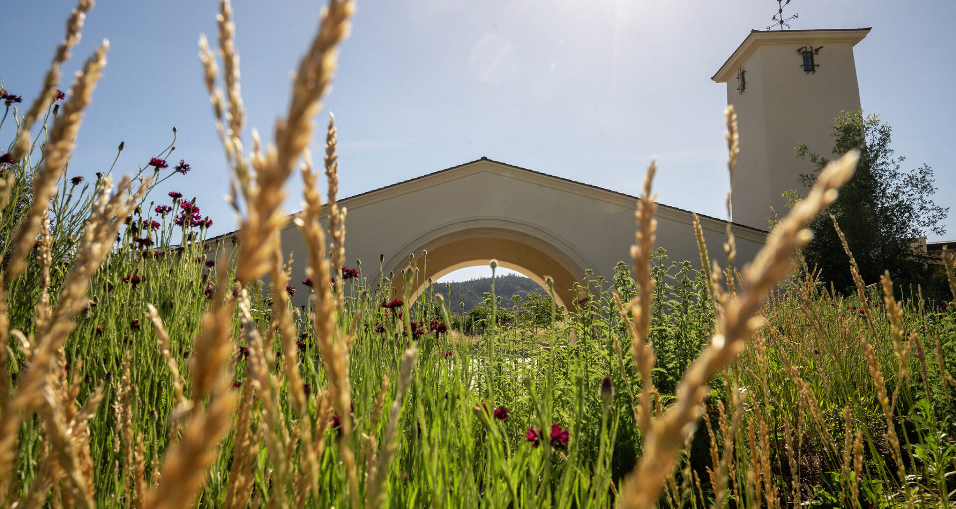 Inside the highly anticipated Robert Mondavi winery reopening