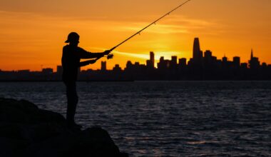 California is experiencing a major ocean heat wave. Here are impacts