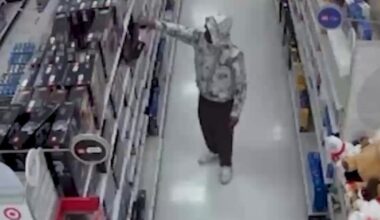 California ‘Lego bandit’ accused of $34K scam swapping pasta in boxes