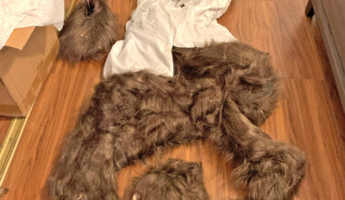 California bear-suit luxury car scam ends in insurance fraud sentences for 3