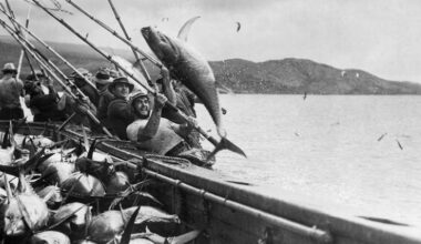 A tradition rooted in coastal history