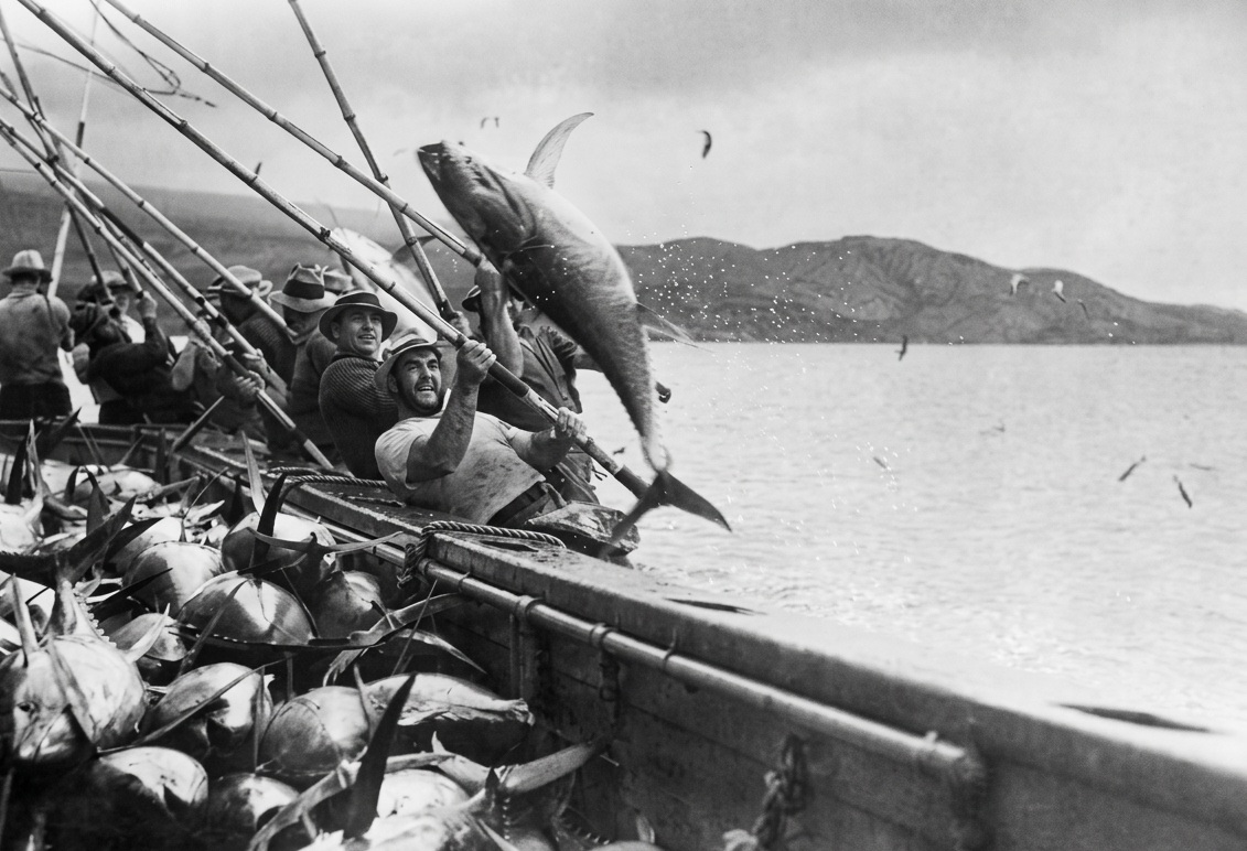 A tradition rooted in coastal history