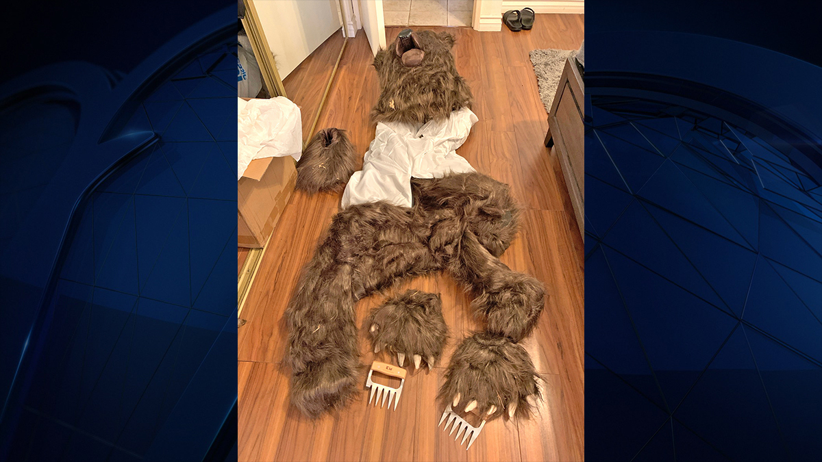 Calif bear-suit luxury car scam ends in insurance fraud sentences – NBC Los Angeles