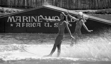 Marine World moved 40 years ago, and Silicon Valley rose in its place