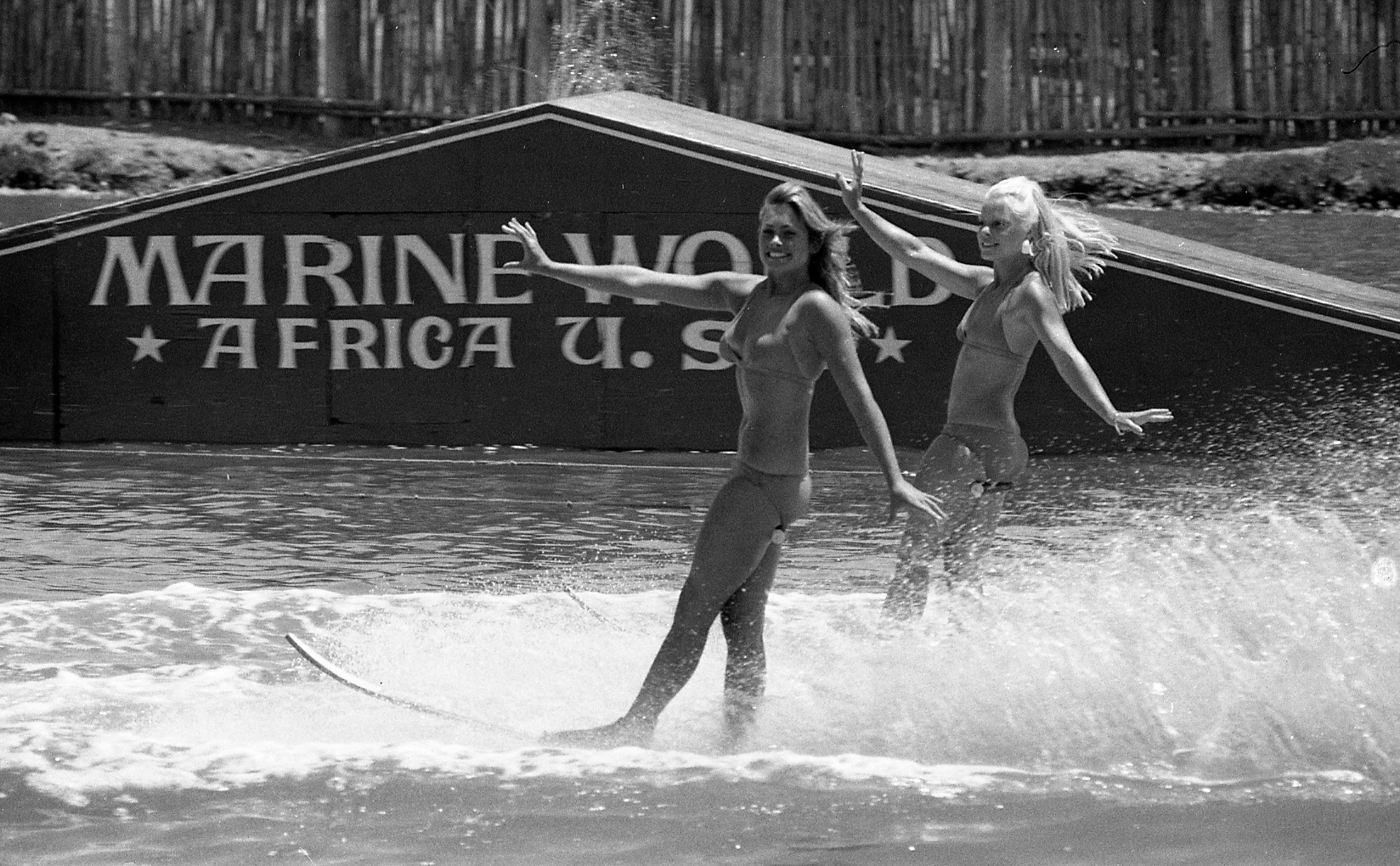 Marine World moved 40 years ago, and Silicon Valley rose in its place