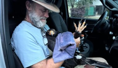 Birds missing, at risk after break-in at Northern California facility
