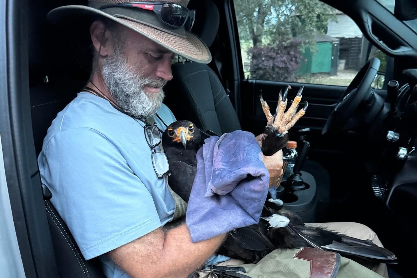 Birds missing, at risk after break-in at Northern California facility