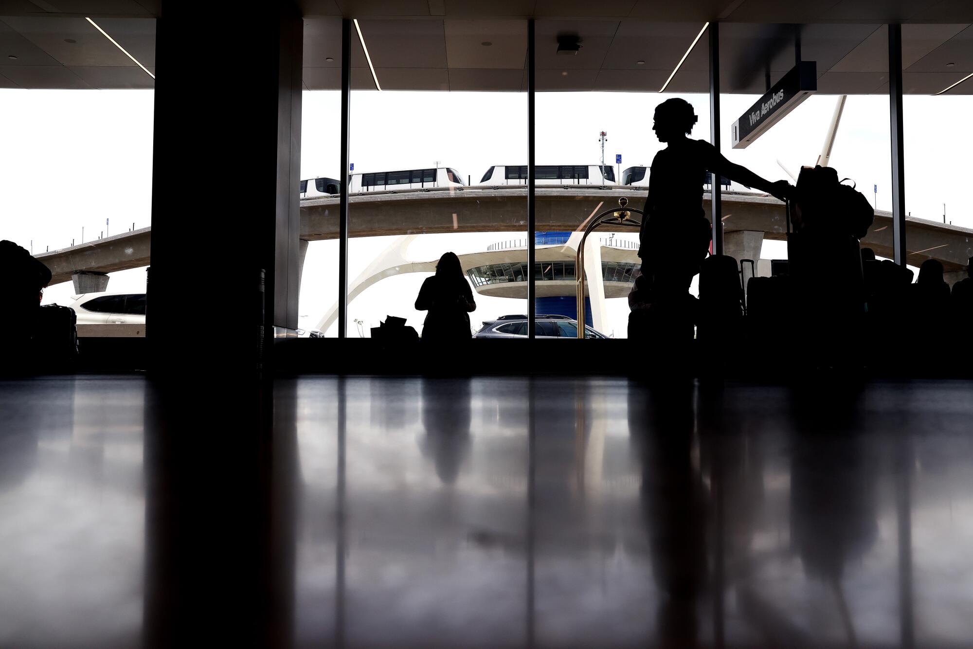 Views of the Automated People Mover