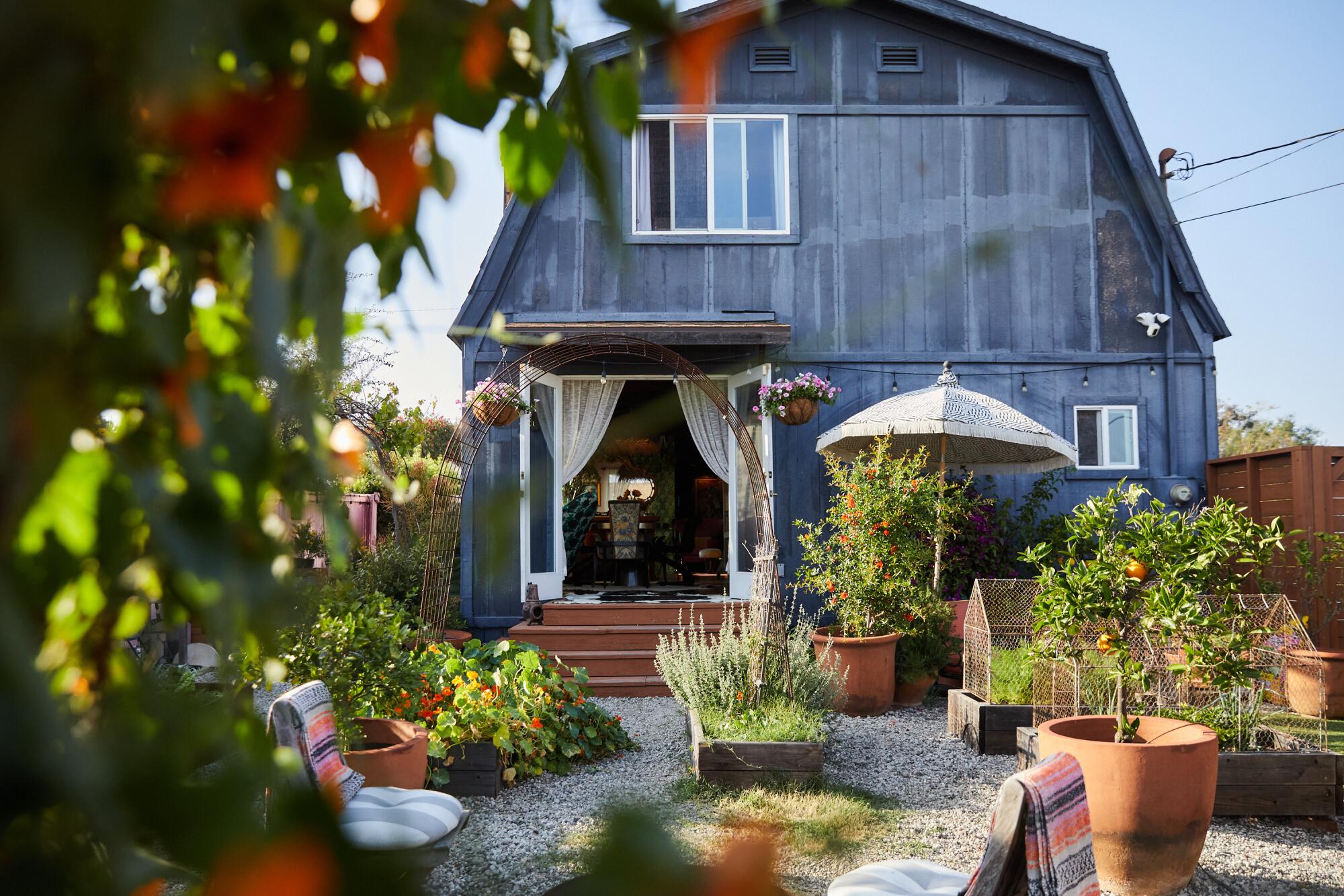 A blue barn-style house with a lush garden filled with flowers.