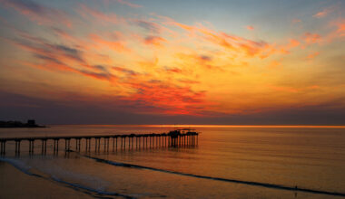 An extreme marine heat wave simmers off California's coast right now