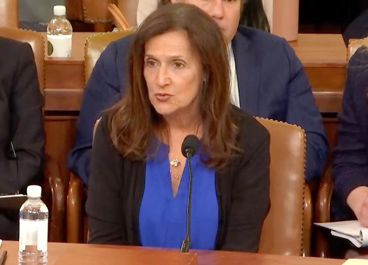 Lynn Ianni testifies before a congressional committee on cracking down on Medicare fraud.