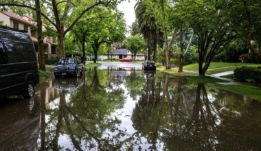 How to report street flooding and downed trees in Sacramento