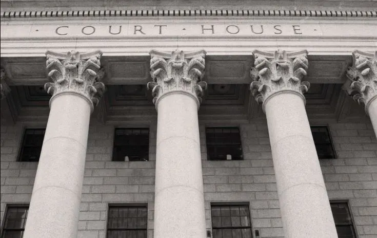 Woman who registered her dog to vote in OC pleads guilty to misdemeanor charge – Orange County Register