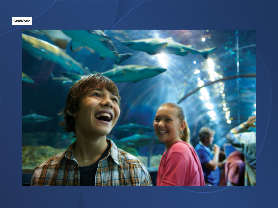seaworld_shark_encounter_3.png
