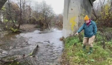 California salmon recovery efforts expand as fishing set to reopen