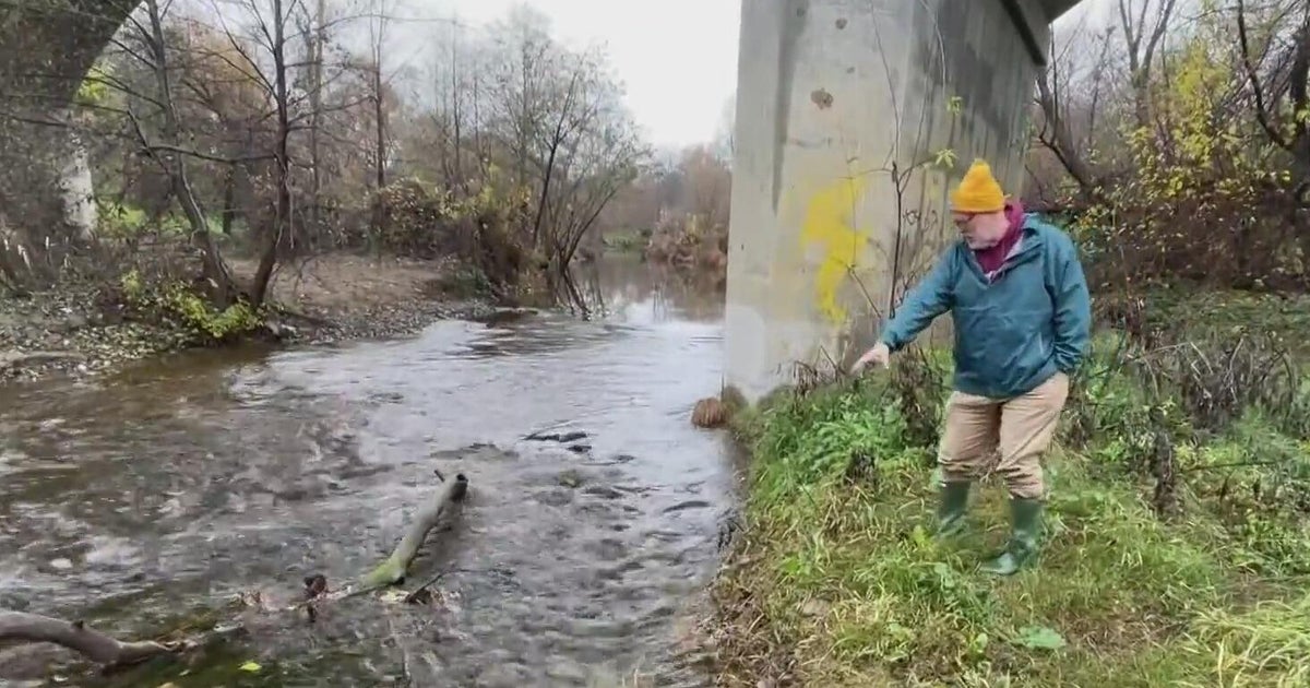 California salmon recovery efforts expand as fishing set to reopen