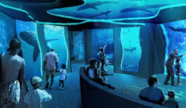 SeaWorld San Diego's new Shark Encounter gets opening date